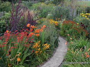 Indian Summer tuin.JPG